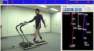 スティックピクチャ